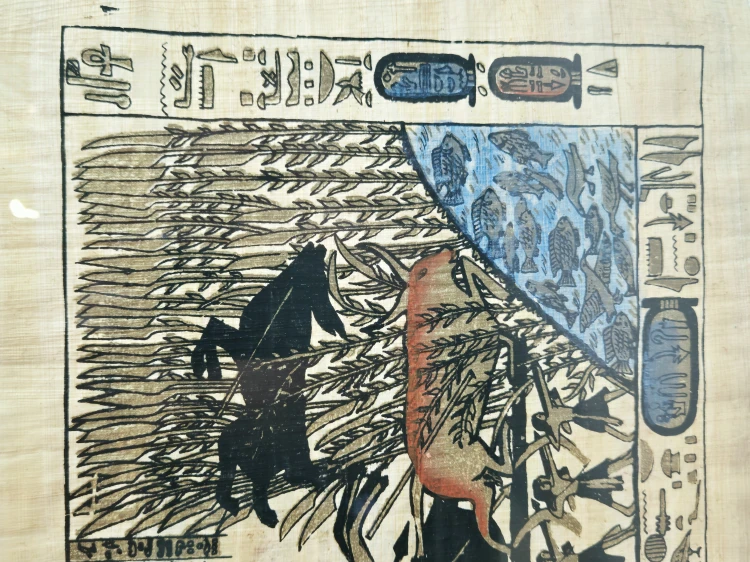 20260804_115911.jpg