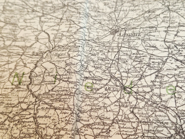 20250718_175256.jpg