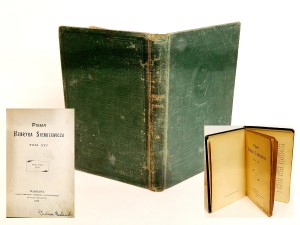 (1900) PISMA HENRYKA SIENKIEWICZA (t. XIV) PRZEZ STEPY, ORSO