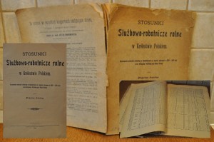 (1906) STOSUNKI SŁUŻBOWE-ROBOTNICZE ROLNE W KRÓLESTWIE POLSKIEM / WŁADYSŁAW GRABSKI