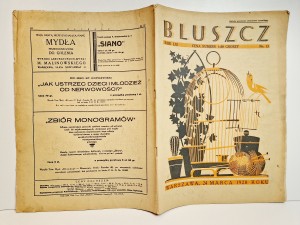 (1928) NR 13 - SPOŁECZNO LITERACKI ILUSTROWANY TYGODNIK KOBIECY BLUSZCZ 