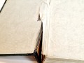 20250220_124156.jpg