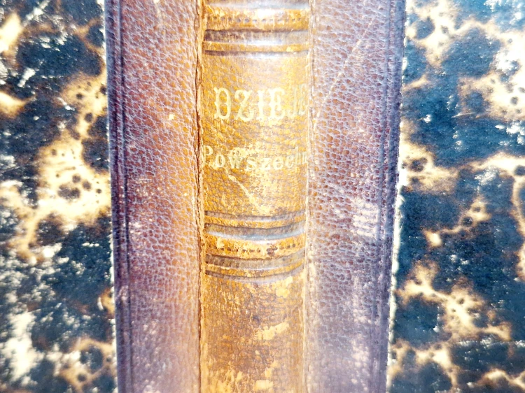 20250311_153332.jpg