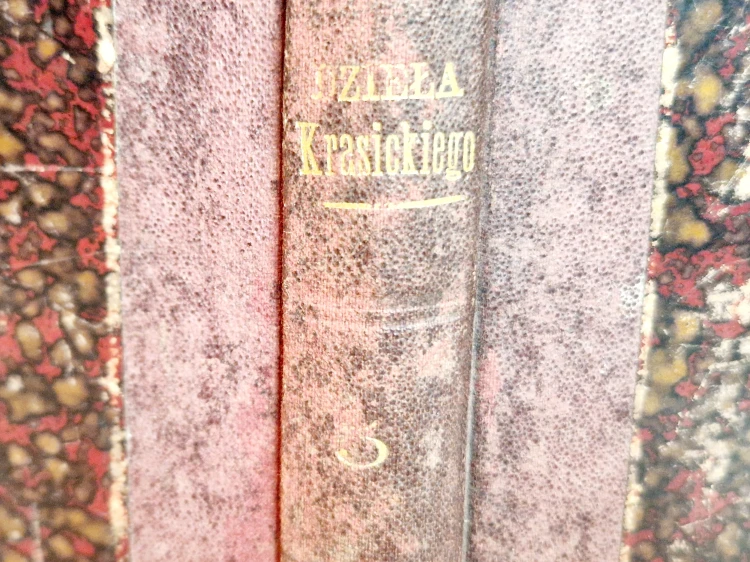 20250311_152729.jpg