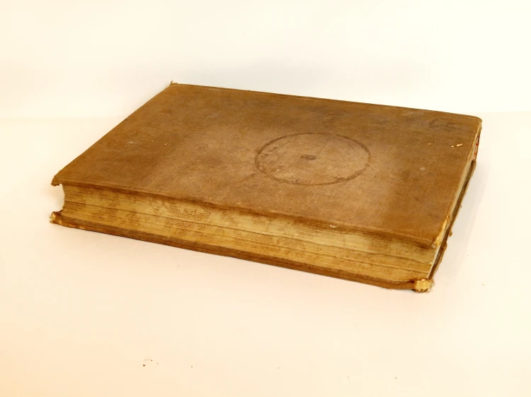 20250515_114456.jpg
