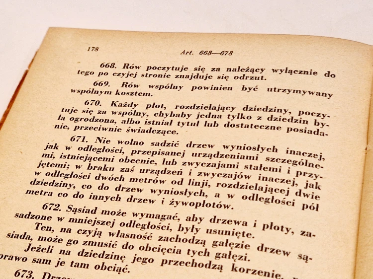20250515_121205.jpg