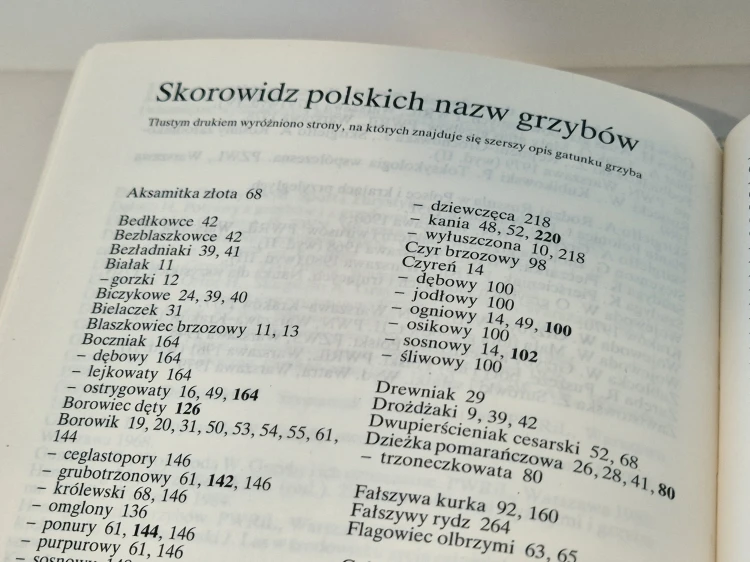 20260812_155616.jpg