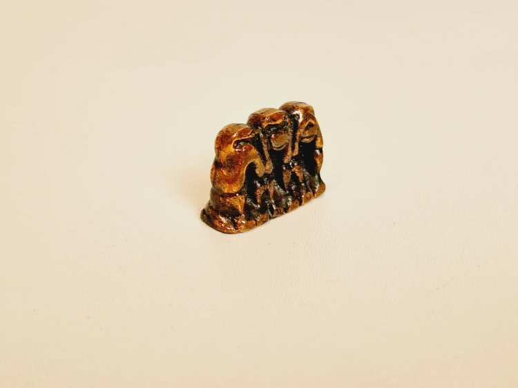 20241015_115114.jpg