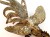20250213_163118.jpg