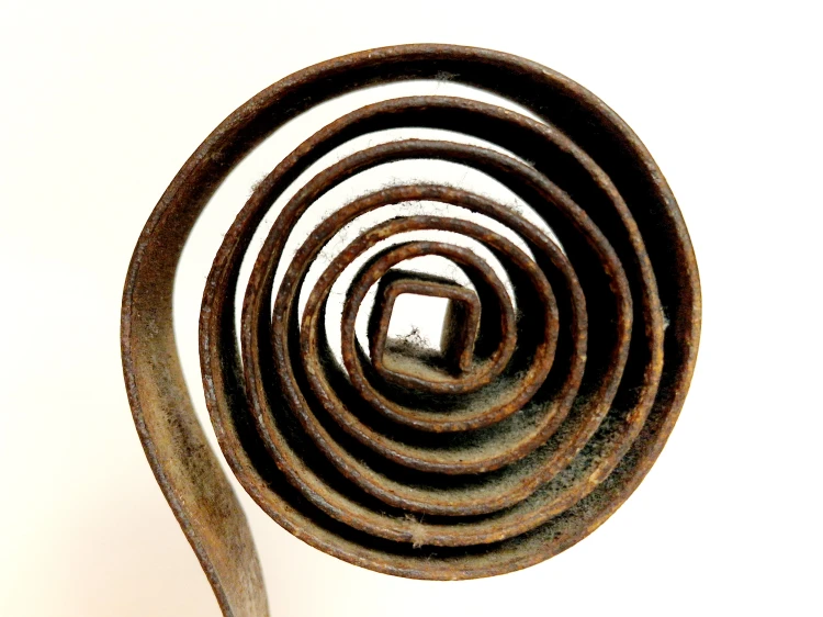 20250311_082322.jpg