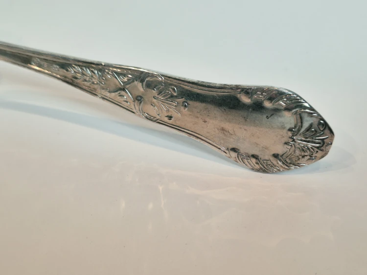 20260924_113213.jpg