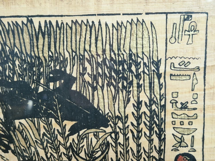 20260924_111102.jpg