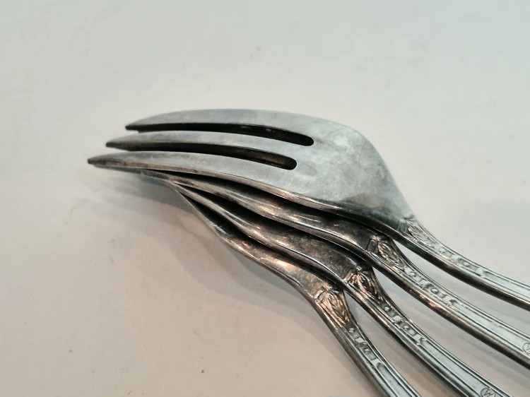 20261002_101954.jpg