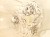 20250513_082022.jpg
