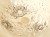 20250513_082029.jpg